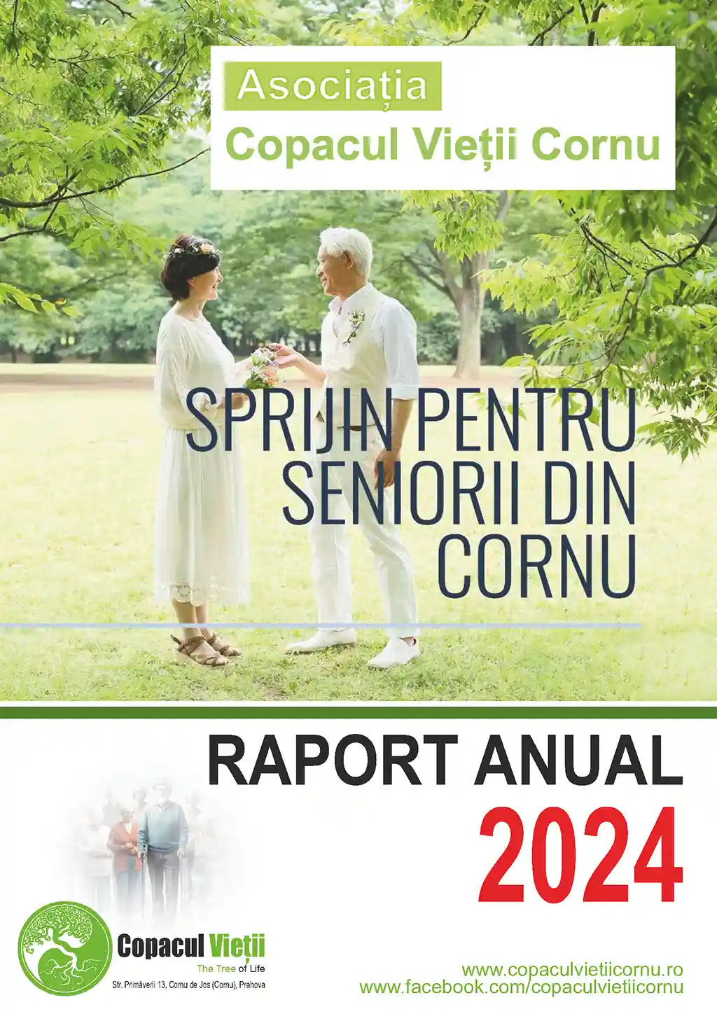 Raport activitate 2024